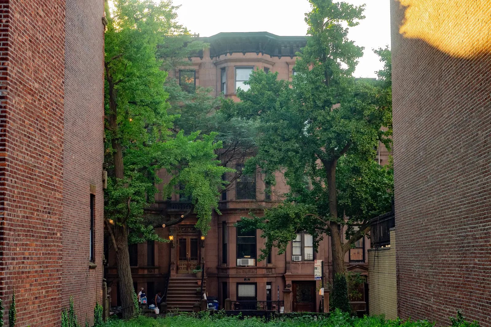 A row of Brooklyn brownstones with stoops on a tree-lined street
